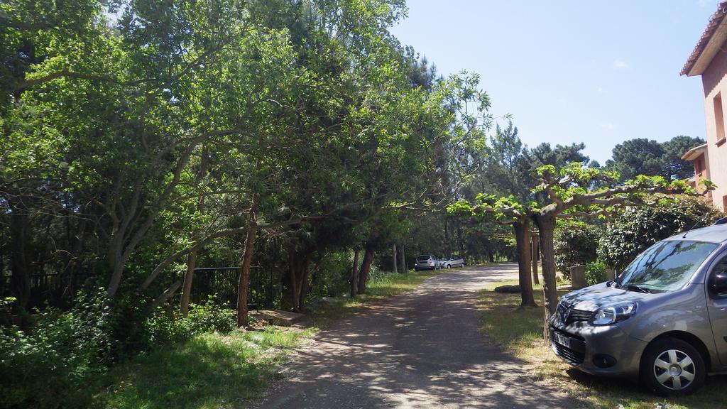 Residence U Re D' Alzettu Porto-Vecchio  Buitenkant foto